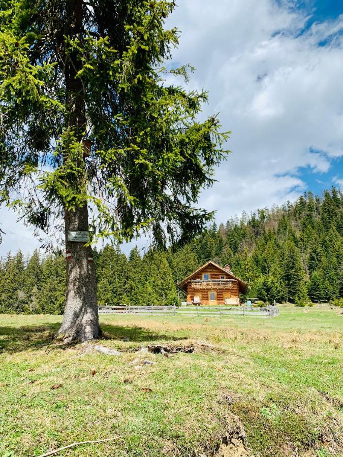 Ferienwohnung Bergheimat Bad Goisern am Hallstättersee Exterior foto